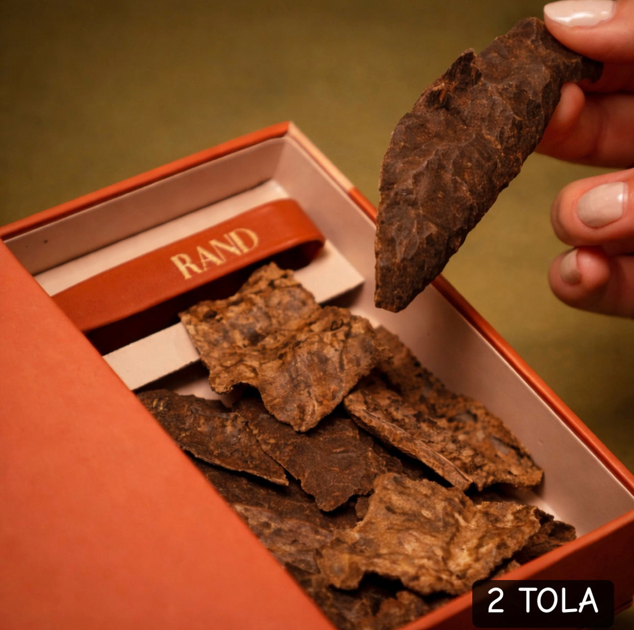 رند سيجنتشر