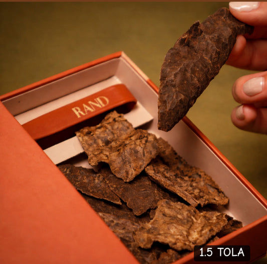 رند سيجنتشر